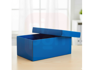 Caixa Organizadora Mini/Sapato Azul 